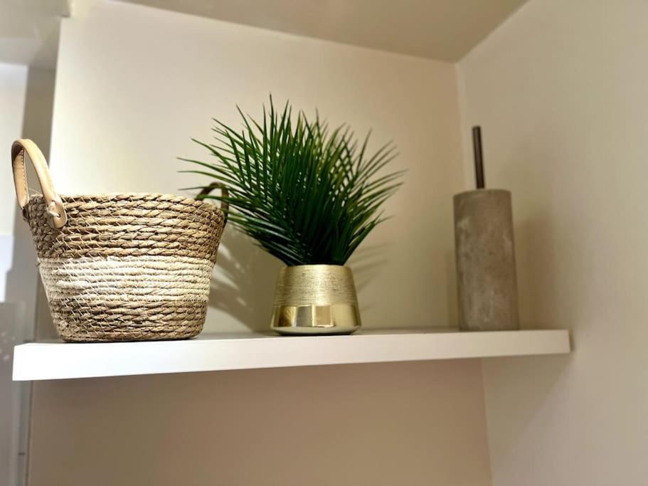 Apartment Centre Coty *